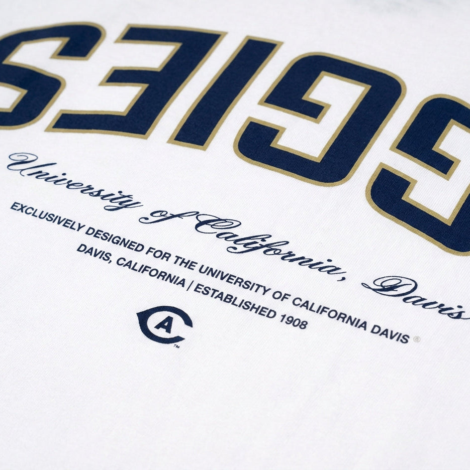 UC Davis Essentials Oversized Tee