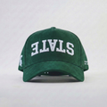 Michigan State Suede Hat